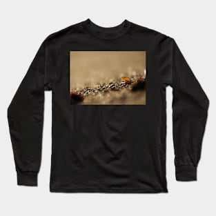 Seashell on the Beach Long Sleeve T-Shirt